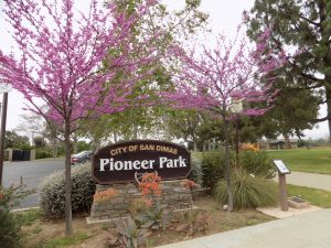 Pioneer-Sign-300x225